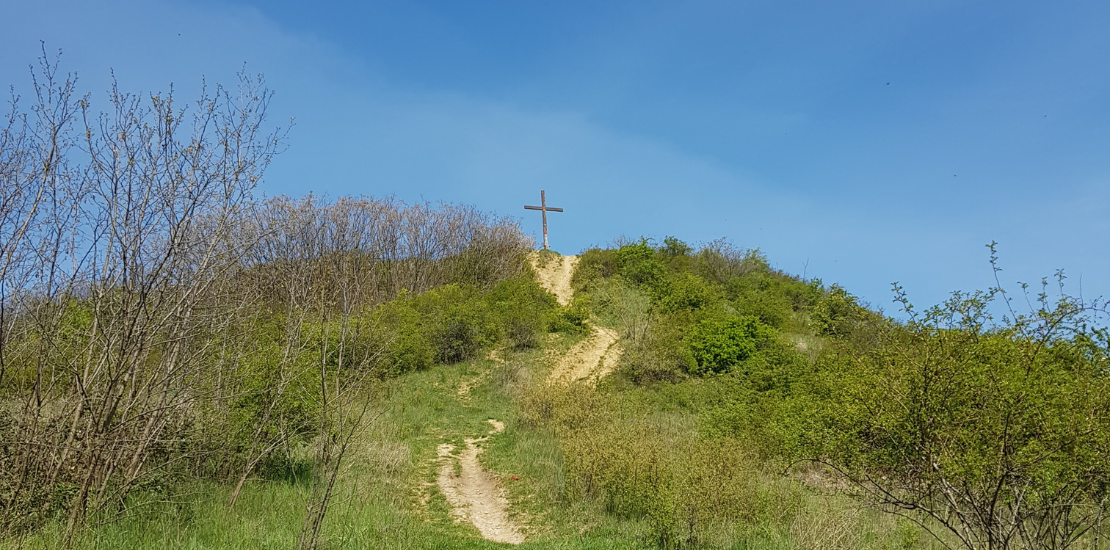 ls_korseta